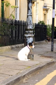 Image: FreeDigitalPhotos.net