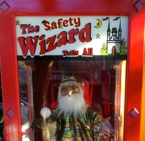 thesafetywizard